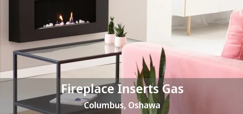 Fireplace Inserts Gas Columbus, Oshawa - ON Fireplace Inserts Gas Columbus, Oshawa - ON
