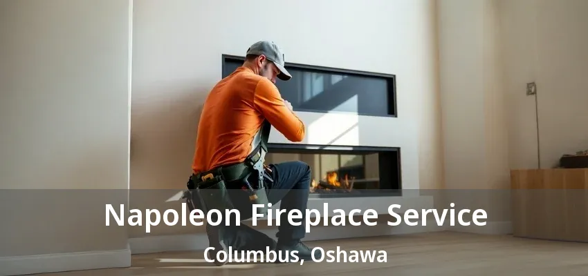 Napoleon Fireplace Service Columbus, Oshawa - ON Napoleon Fireplace Service Columbus, Oshawa - ON