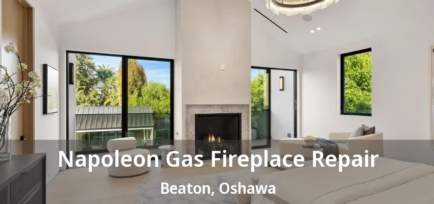 Napoleon Gas Fireplace Repair Beaton, Oshawa - ON Napoleon Gas Fireplace Repair Beaton, Oshawa - ON