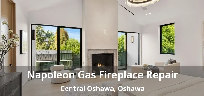 Napoleon Gas Fireplace Repair Central Oshawa, Oshawa - ON Napoleon Gas Fireplace Repair Central Oshawa, Oshawa - ON