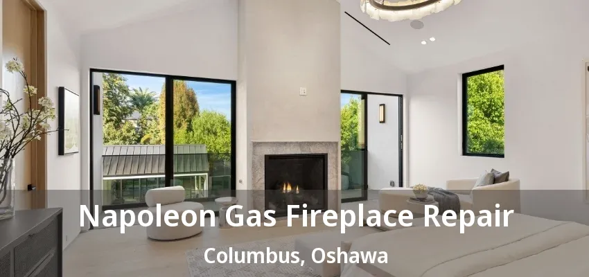 Napoleon Gas Fireplace Repair Columbus, Oshawa - ON Napoleon Gas Fireplace Repair Columbus, Oshawa - ON
