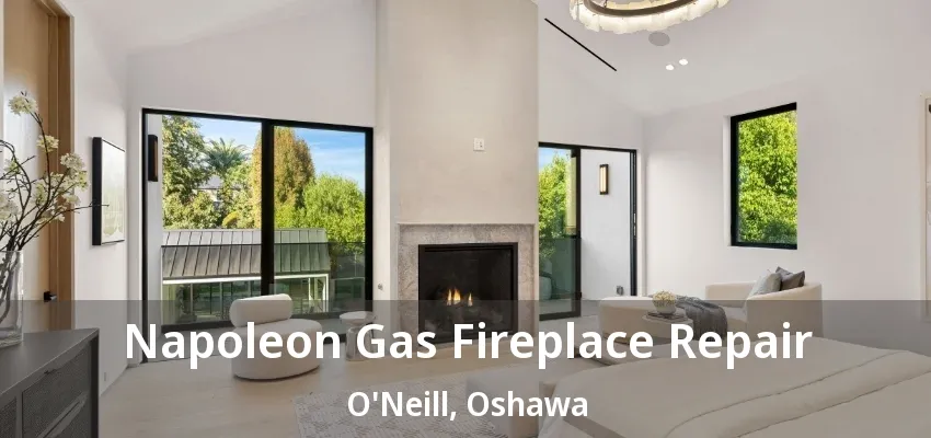 Napoleon Gas Fireplace Repair O'Neill, Oshawa - ON Napoleon Gas Fireplace Repair O'Neill, Oshawa - ON