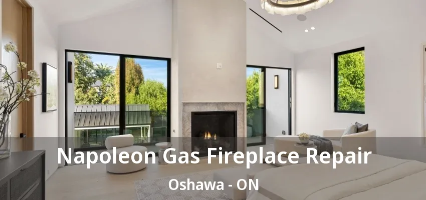 Napoleon Gas Fireplace Repair Oshawa - ON