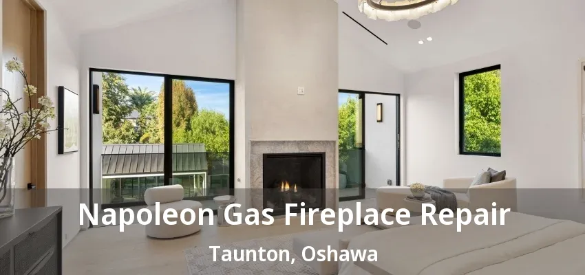 Napoleon Gas Fireplace Repair Taunton, Oshawa - ON Napoleon Gas Fireplace Repair Taunton, Oshawa - ON