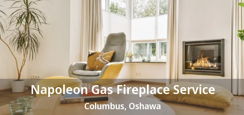 Napoleon Gas Fireplace Service Columbus, Oshawa - ON Napoleon Gas Fireplace Service Columbus, Oshawa - ON