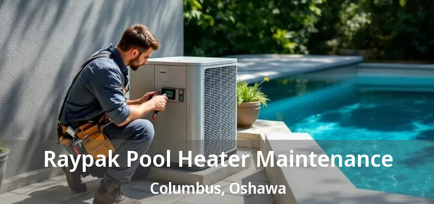 Raypak Pool Heater Maintenance Columbus, Oshawa - ON